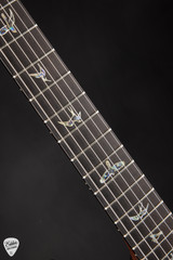 PRS Eddies Guitars Wood Library Modern Eagle V Champagne Gold Metallic (Natural Back) Electric Guitar