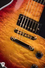 Gibson Custom Shop Dealer Select Les Paul Custom 5A Quilt Tree Of Life Fireburst Electric Guitar