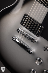 Woodrite Warlord Standard Electric Guitar in Silverburst