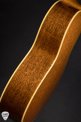 Fairbanks F20 Salvage Acoustic Guitar with Sinker Sitka Spruce and Old Mahogany