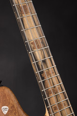 Spector NS 2 4 String Neck Thru Maple Burl and Swamp Ash Electric Bass