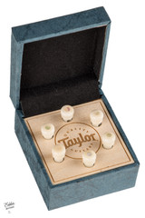 Taylor Custom Water Buffalo Bone Bridge Pins White with Awabi Shell