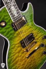 Gibson Custom Shop Dealer Select Les Paul Ultima Tree of Life Iguana Burst Electric Guitar
