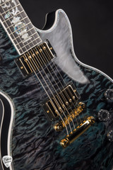Gibson Custom Shop Dealer Select Les Paul Ultima 5A Tree of Life Nordic Blue Electric Guitar