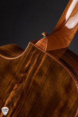 McPherson MG 4.0 XP Acoustic Guitar with Dark Forest Ancient Cypress and Macassar Ebony