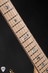 Alembic Further 6 Walnut Flame Maple Electric Guitar