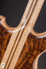 Alembic Further 6 Walnut Flame Maple Electric Guitar