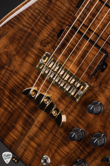 Alembic Further 6 Walnut Flame Maple Electric Guitar