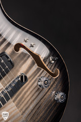 PRS Private Stock 30th Anniversary Birds of a Feather Hollowbody I Frostbite Glow Electric Guitar
