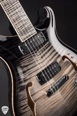 PRS Private Stock 30th Anniversary Birds of a Feather Hollowbody I Frostbite Glow Electric Guitar