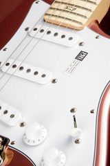 2023 - Paul Reed Smith Silver Sky John Mayer - Midnight Rose