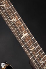 PRS Special Semi-Hollow Custom Color Electric Guitar