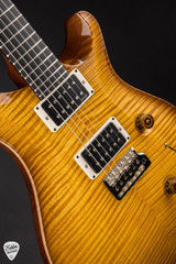 PRS Custom 24 Birds of a Feather Limited Edition Honey Gold Electric Guitar