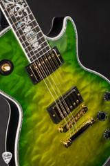 Gibson Custom Shop Dealer Select Les Paul Ultima Tree of Life Iguana Burst Electric Guitar
