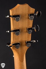 Taylor 214ce Plus Torrefied Spruce Indian Rosewood Acoustic Guitar