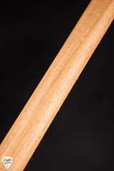 Taylor 24ce Mahogany and Sapele Acoustic Guitar