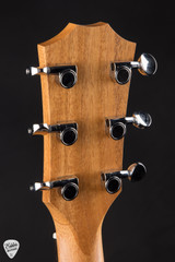 Taylor 14ce Torrefied Spruce Sapele Acoustic Guitar