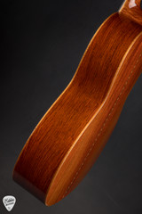 Collings 003 Ancient Cypress and Cocobolo Acoustic Guitar