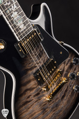 Gibson Custom Shop Dealer Select Les Paul Custom 5A Quilt Tree Of Life Cobra Burst