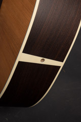 Iris JB Acoustic Guitar with Reclaimed Redwood and Indian Rosewood