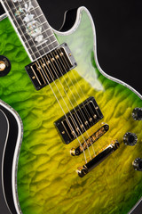 Gibson Custom Shop Dealer Select Les Paul Ultima Tree of Life Iguana Burst Electric Guitar