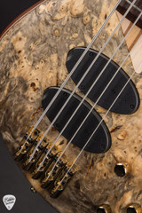 Sandberg Custom 5 String Buckeye Burl Matt Nature Electric Bass