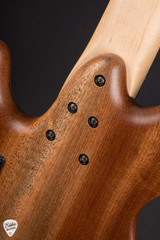 Sandberg Panther VM Buckeye Burl Matte Nature Electric Bass