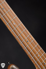 Sandberg Panther VM Buckeye Burl Matte Nature Electric Bass