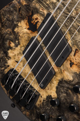 Sandberg Panther VM Buckeye Burl Matte Nature Electric Bass