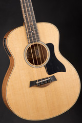 Taylor GS Mini e Bass Acoustic Bass