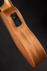 Taylor GS Mini e Bass Acoustic Bass