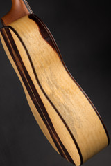 Gallagher Provenir Parlor Acoustic Guitar with Western Red Cedar and Tamarind in Sunburst