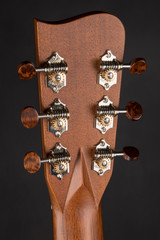 Gallagher Provenir Parlor Acoustic Guitar with Western Red Cedar and Tamarind in Sunburst