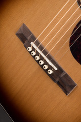 Gallagher Provenir Parlor Acoustic Guitar with Western Red Cedar and Tamarind in Sunburst