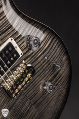 PRS Custom 24 Birds of a Feather Limited Edition Charcoal Microburst Electric Guitar