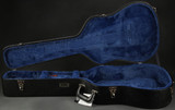 Case for Iris WE Acoustic Guitar with Adirondack Spruce and Indian Rosewood