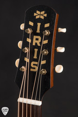 Iris WE Acoustic Guitar with Adirondack Spruce and Indian Rosewood