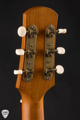 Iris WE Acoustic Guitar with European Spruce and Koa