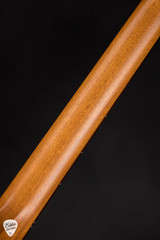 Iris WE Acoustic Guitar with European Spruce and Koa