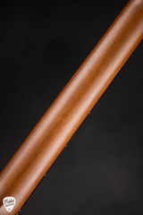 Iris WE Acoustic Guitar with Yellow Cedar and Black Locust