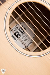 Iris WE Acoustic Guitar with Yellow Cedar and Black Locust