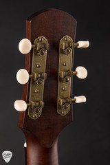 Iris AB Acoustic Guitar with Redwood and Macassar Ebony