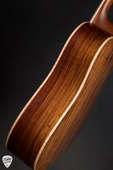 Gallagher Provenir Dreadnought Acoustic Guitar with Bearclaw Sitka Spruce  and Nicaraguan Rosewood