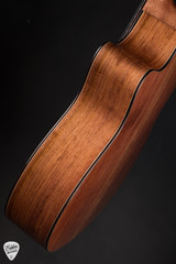 Goodall Crossover Cutaway Nylon Acoustic Guitar with German Spruce and Palo Escrito