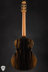 SkyTop Modified Parlor Acoustic Guitar with Bearclaw Sitka Spruce and Crelicam Ebony