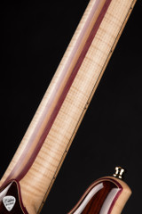 Alembic H 2 Tribute Cocobolo Electric Guitar