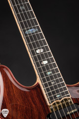 Alembic H 2 Tribute Cocobolo Electric Guitar