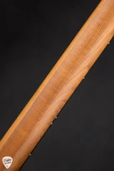 Spector NS 2 4 String Neck Thru Box Elder and Swamp Ash Electric Guitar