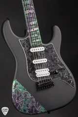 James Tyler Studio Elite Satin Black with Alien Guano Electric Guitar