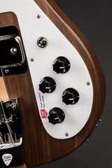 Rickenbacker 4003SW electric bass guitar
